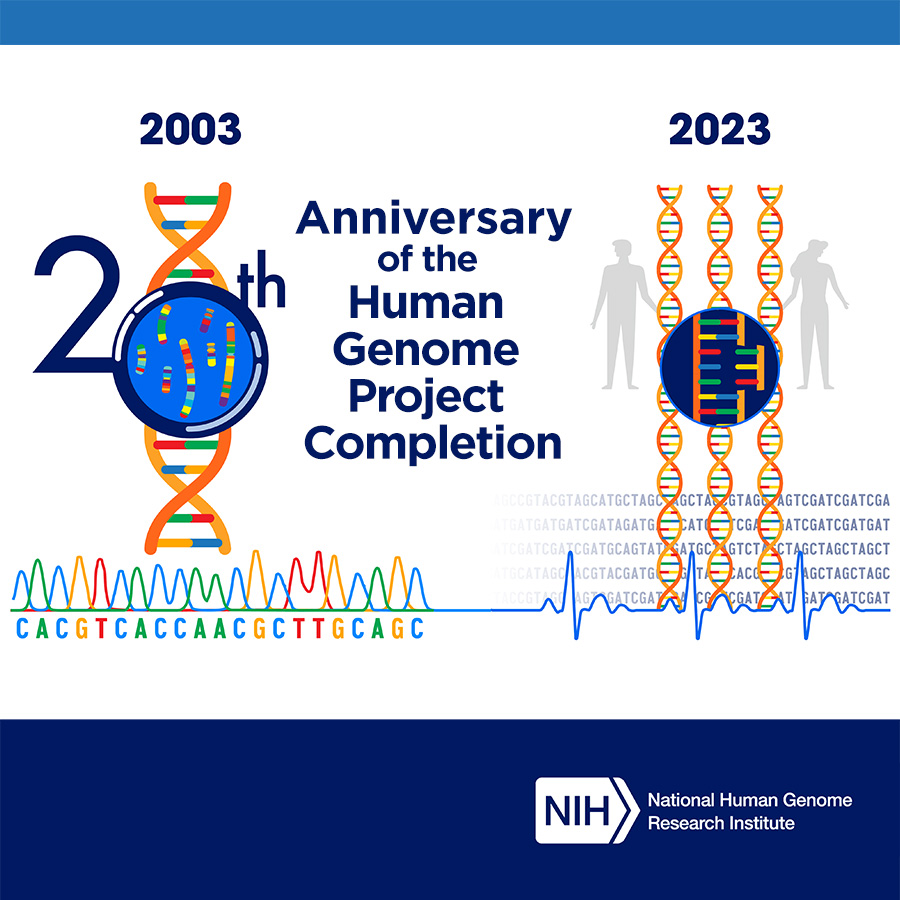 Research Roundup The Human Genome Project is in All of Us’ DNA All